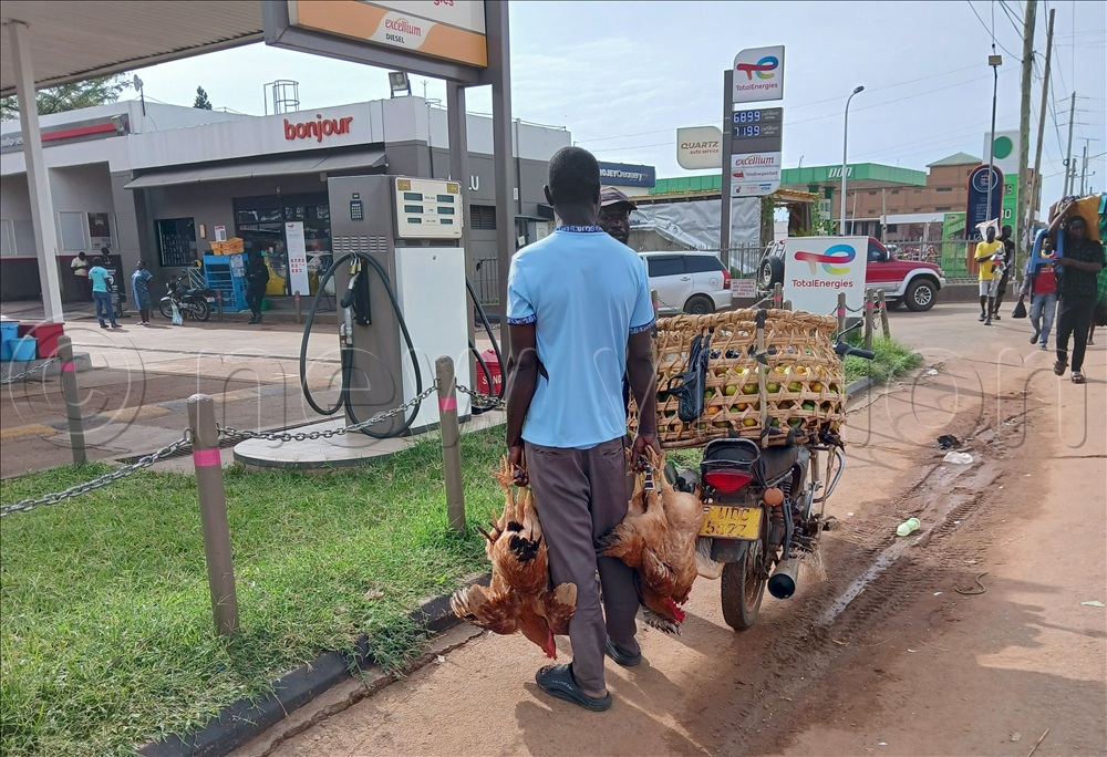 Most of the chicken traders decided to move and find their buyers in different places in Gulu city