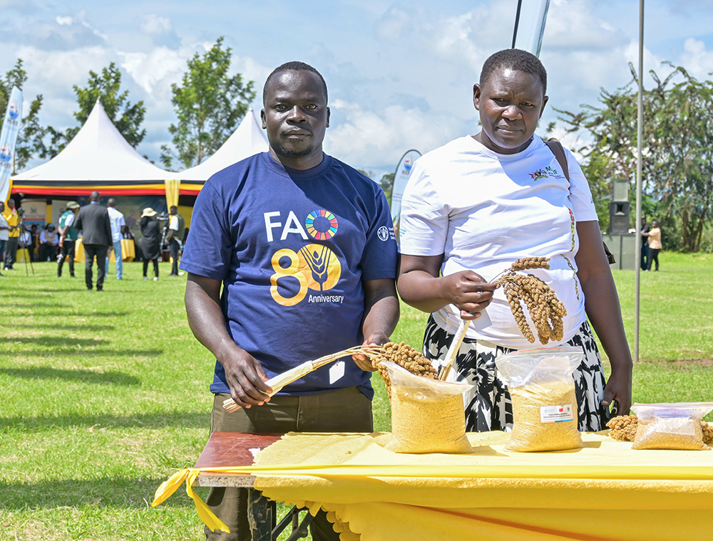 Adikini Scovia (R), a NARO researcher on Millet and colleague display the new millet varieties.