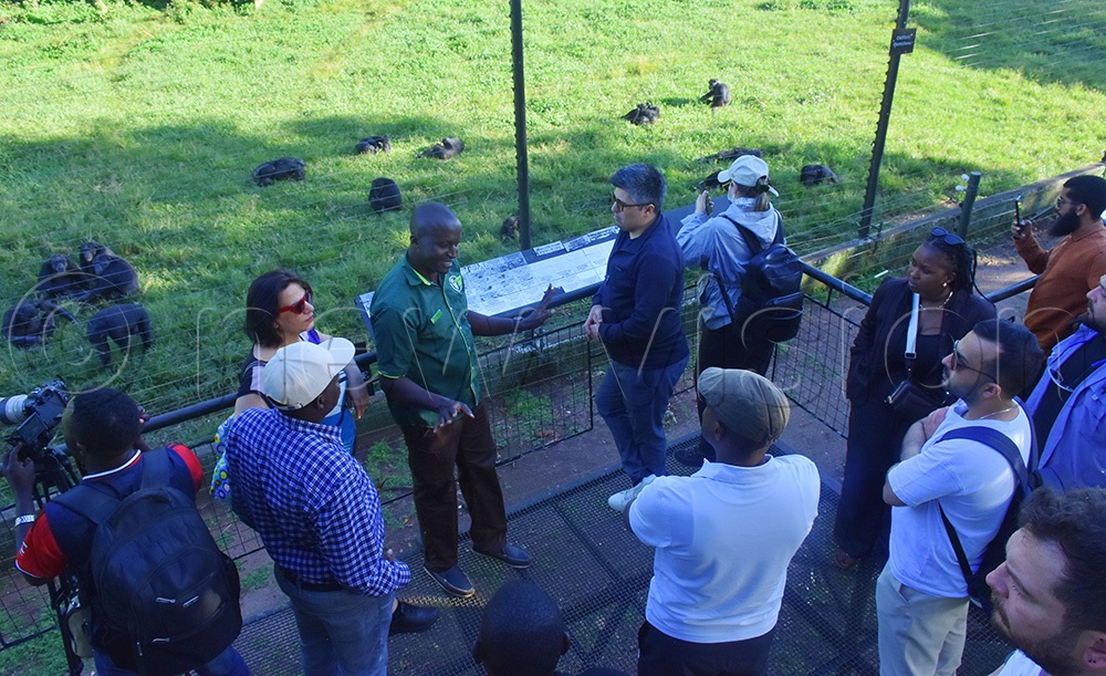  The Turkish tour operators during their visit to Ngamba chimpanzee island. (Photo by Julius Luwemba)