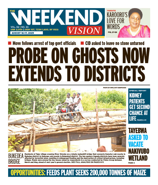 New Vision E-Paper