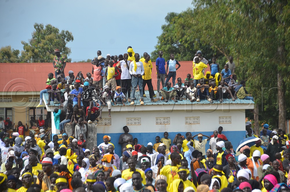 (Photo by Adam Gule)