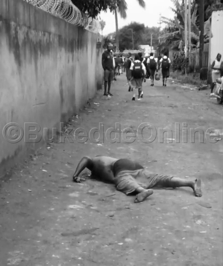 Omulambo Gwa Omaido Mu kitaba ky'omusaayi