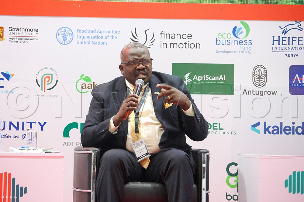 Humphrey Mutaasa, Chief Technical Advisor at The Grain Council of Uganda (TGCU), delivers a presentation during the summit. (Credit: Prossy Nandudu)