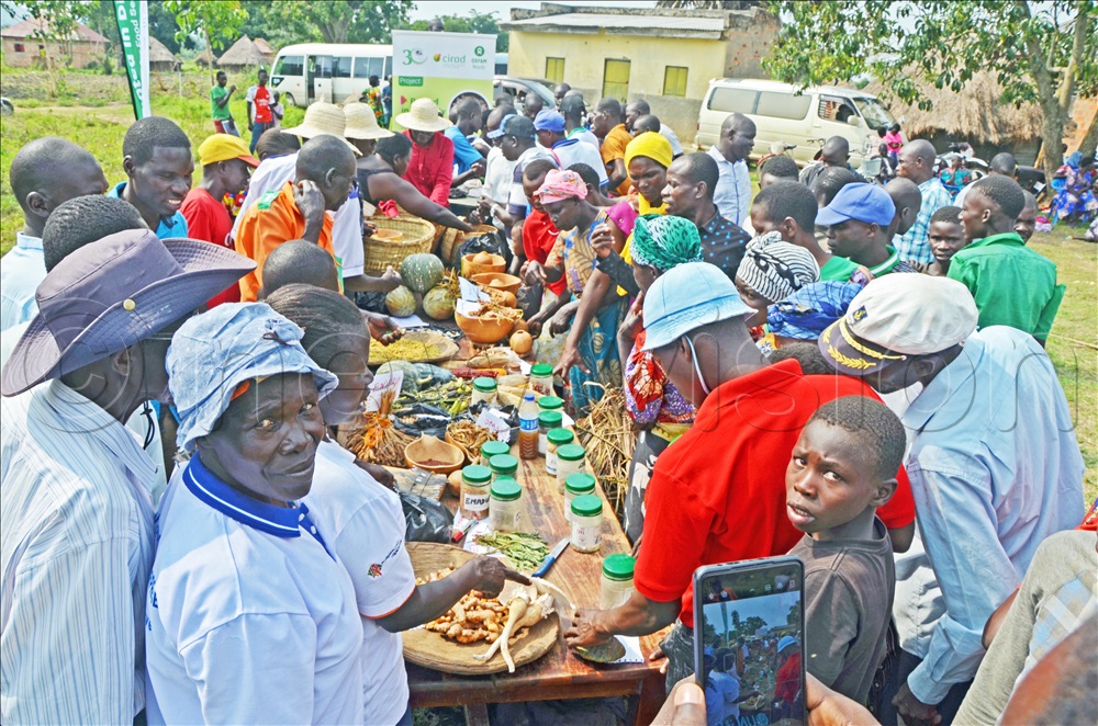 Farmers showcasing local seeds and foods in Serere on Wednesday. 
