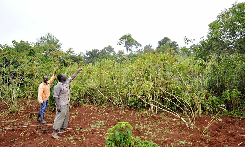 Abatuuze nga balaga ettaka lya Mzee