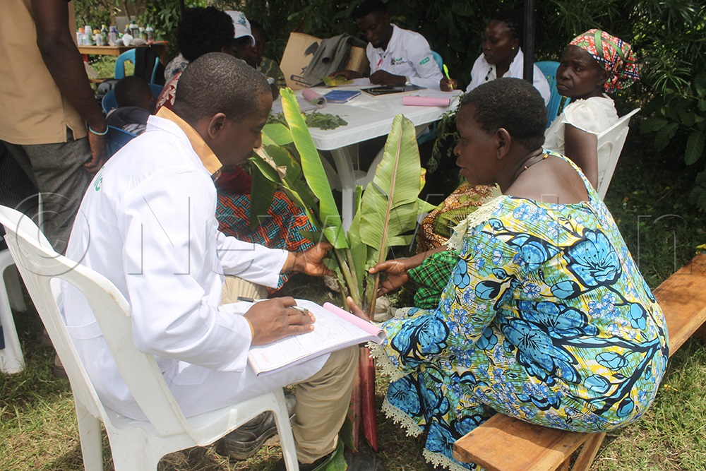 A farmer seeking advice from one of the sub-county agricultural officers at one of the plant clinics introduced at Nyamambuka ward. (Credit: Samuel Amanyire)