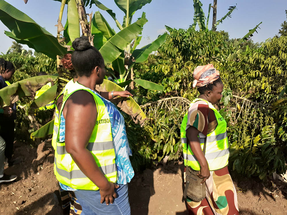 Under the model, farmers are encouraged to dedicate one acre to food crops, another to fruits, a third to high-value enterprises such as dairy farming, poultry, piggery or fish farming, while the remaining acre is reserved for pasture production.