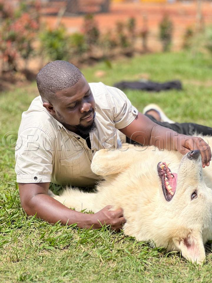 Ssemwanga ng'ali n'emu ku mbwa ze