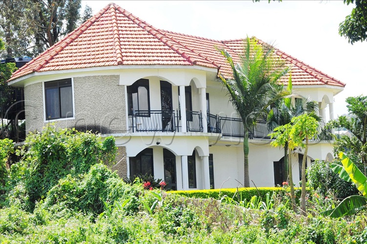 Do you know where to plant your compound trees? New Vision Official