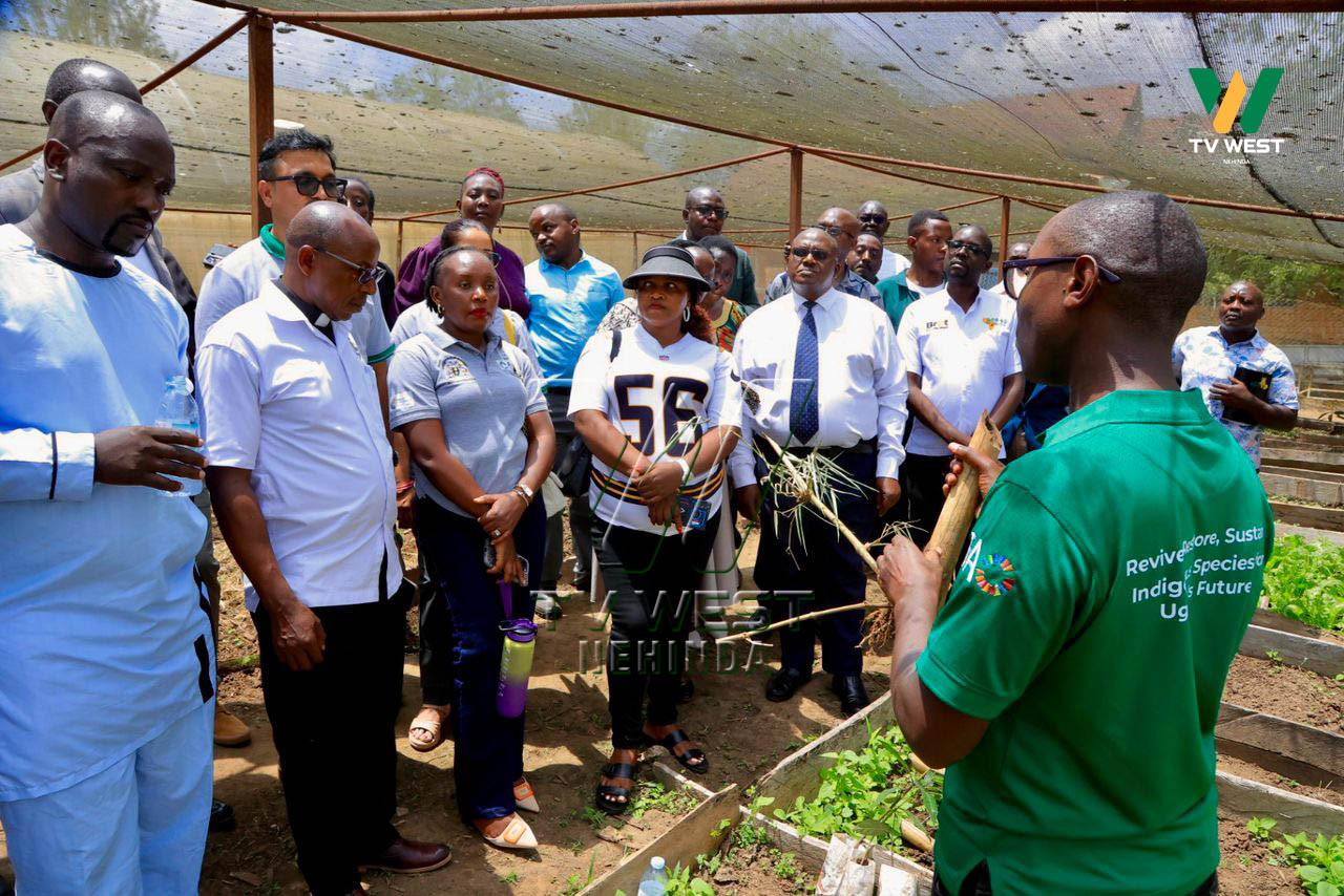 Habaireho n'okwegyesibwa ahamigasho y'okubyara emiti nk'ogw'omugano haihi n'emigyera. PHOTO: MICHEAL TUMWAKIIRE