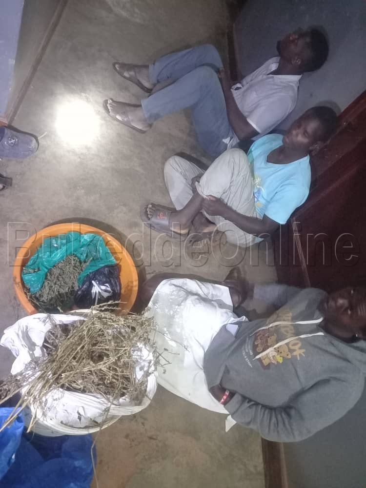 Egimu ku misokoto gy'ejaga egikwatiddwa n'abavubuka