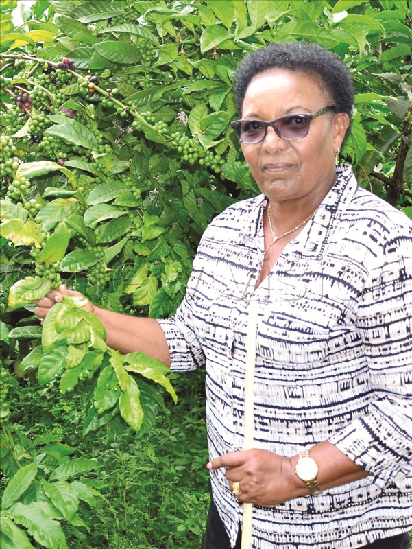 Nsabimaana has more than 50 acres of coffee.