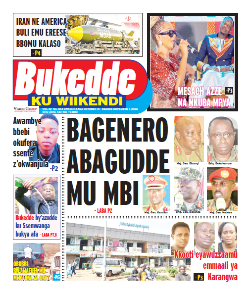 New Vision E-Paper