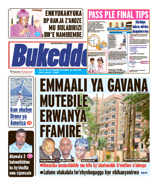 New Vision E-Paper