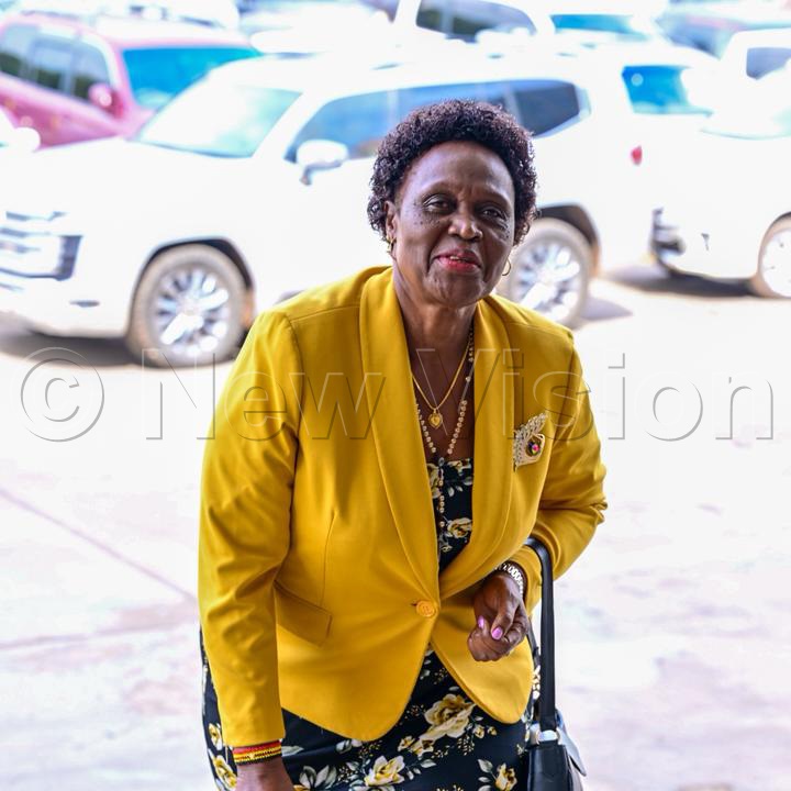 Minister of State for Water and Environment, Environment, Hon. Beatrice Anywar.