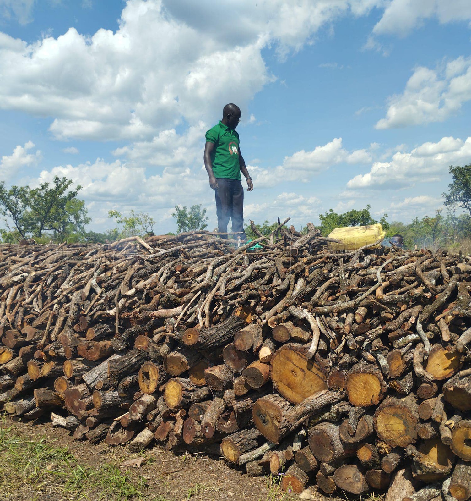 MP wants commercial charcoal burning streamlined Bukedde Online