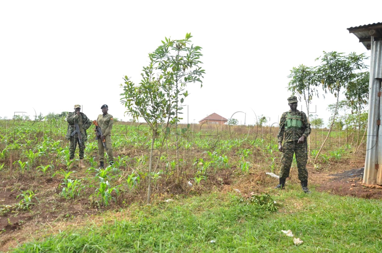 Ettaka Kaggwa kweyali yagoba ab'ebibanja