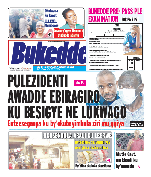 New Vision E-Paper