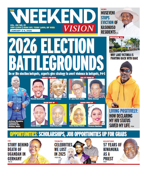 New Vision E-Paper