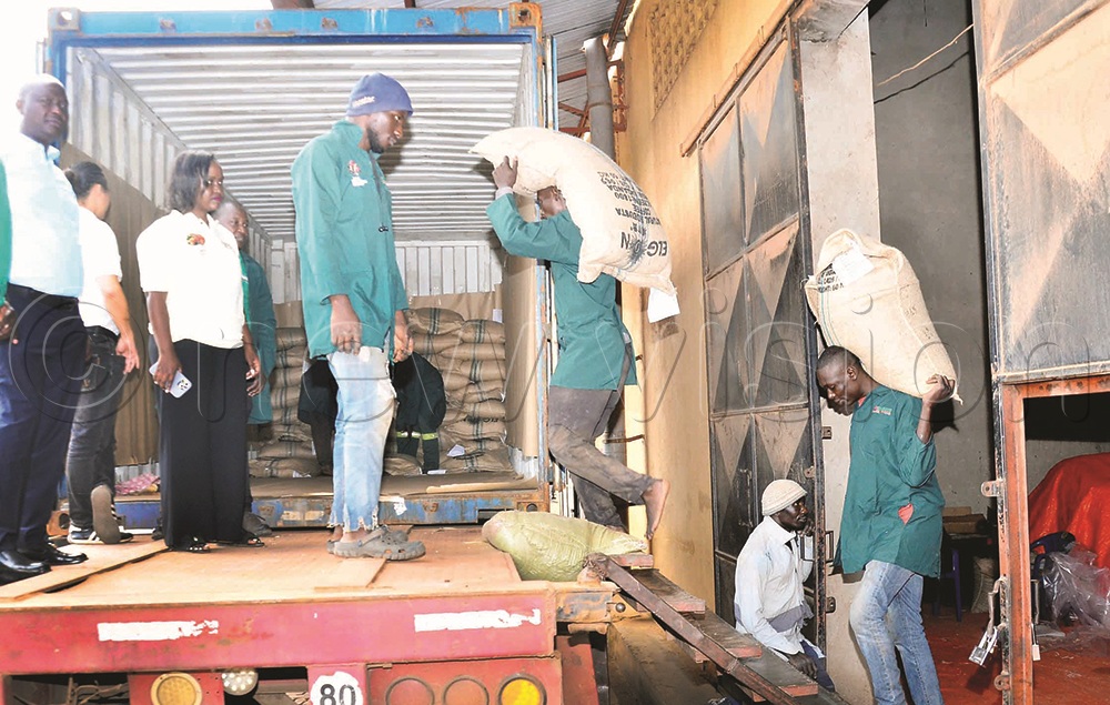 Workers loading coffee on the truck for exportation to Kenya, China and Dubai, among other places.