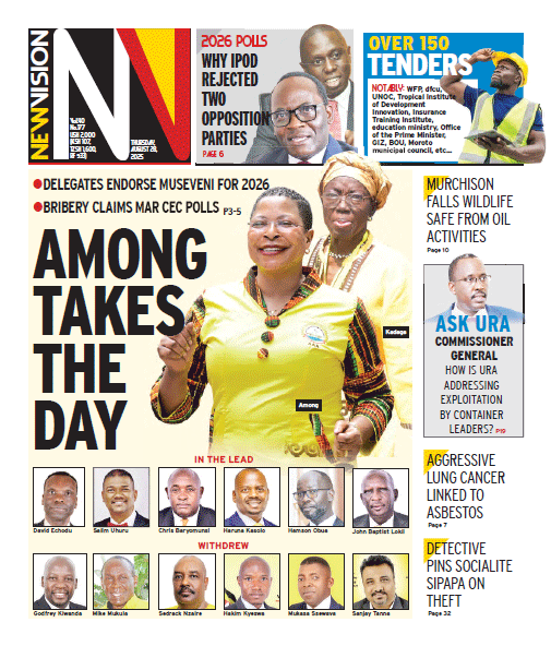 New Vision E-Paper