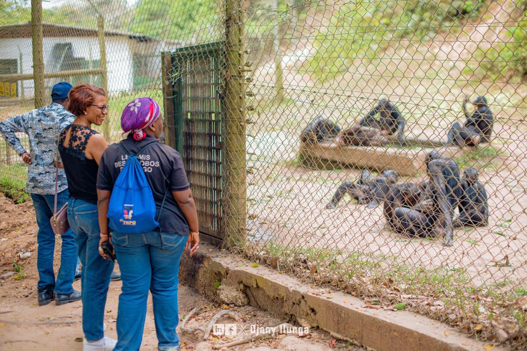 Ajarova and team watching the Chimpanzees. (Courtesy)