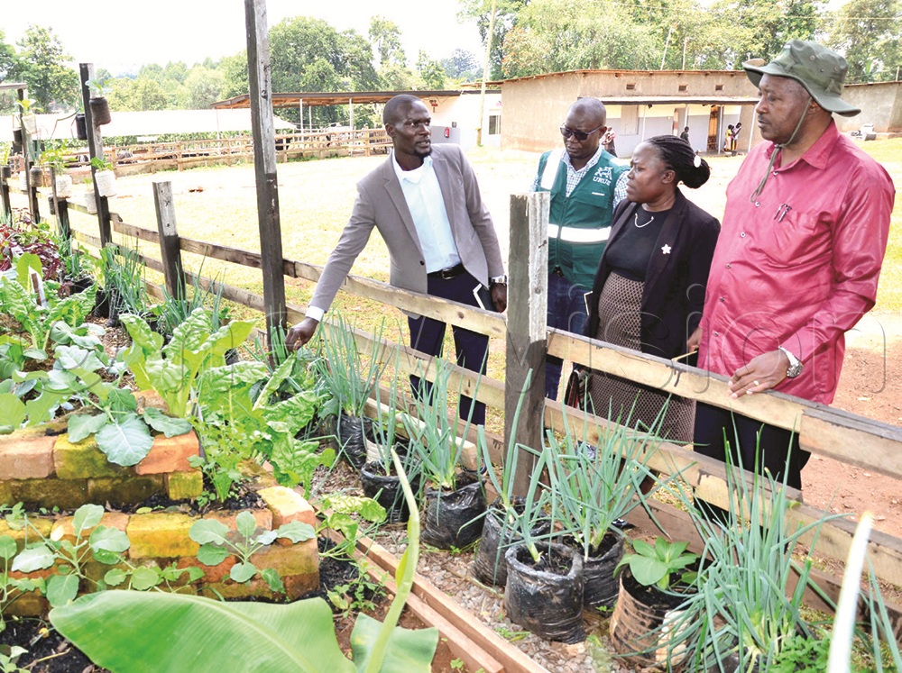 Byantwale (right), Juliet Mutungi the deputy headteacher of Gayaza  High School, Kabanda and Muhinda touring the school farm. 