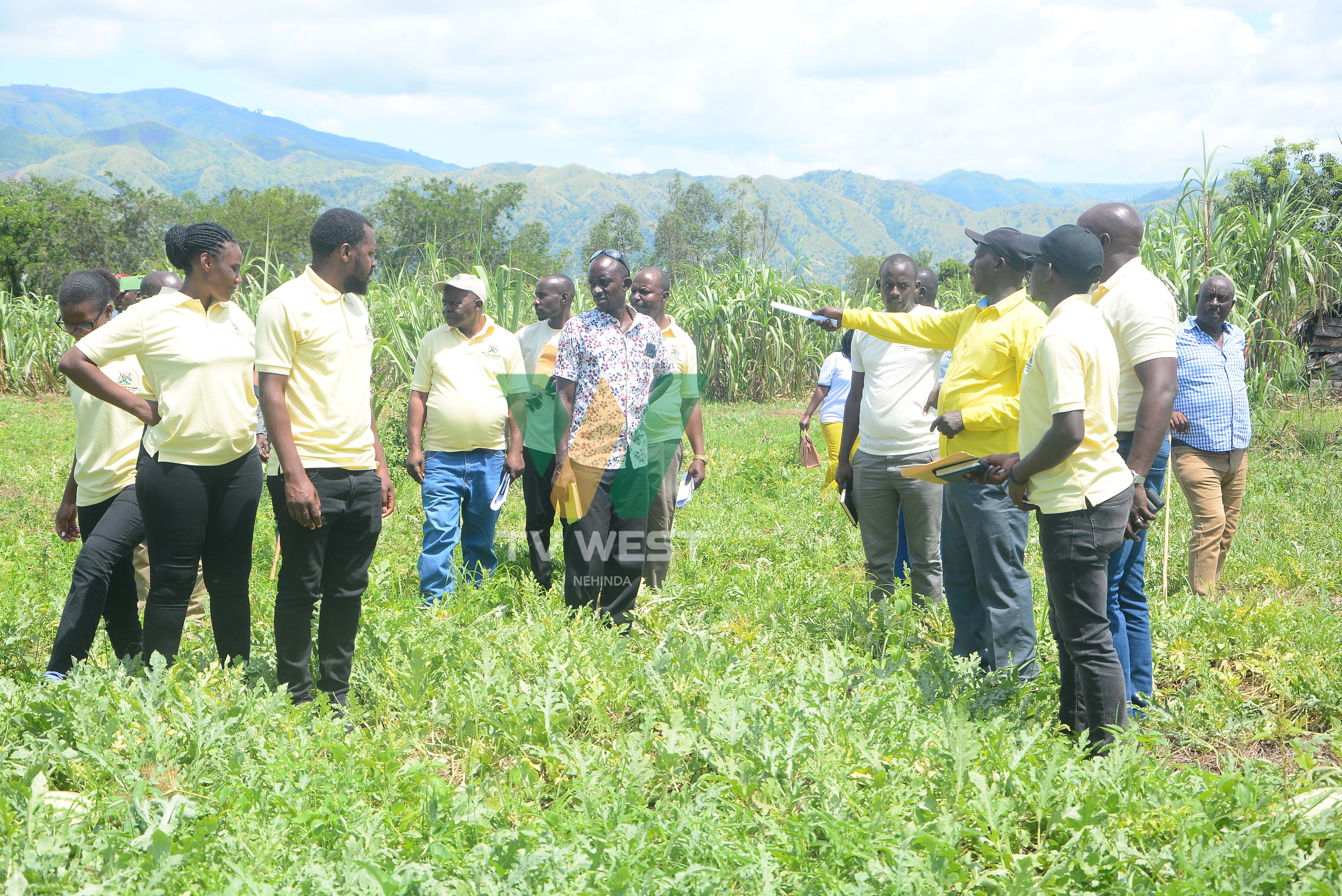 Gavumenti ehaire abahingi b'omuri Ntoroko Irrigation Scheme ya Sh407m.