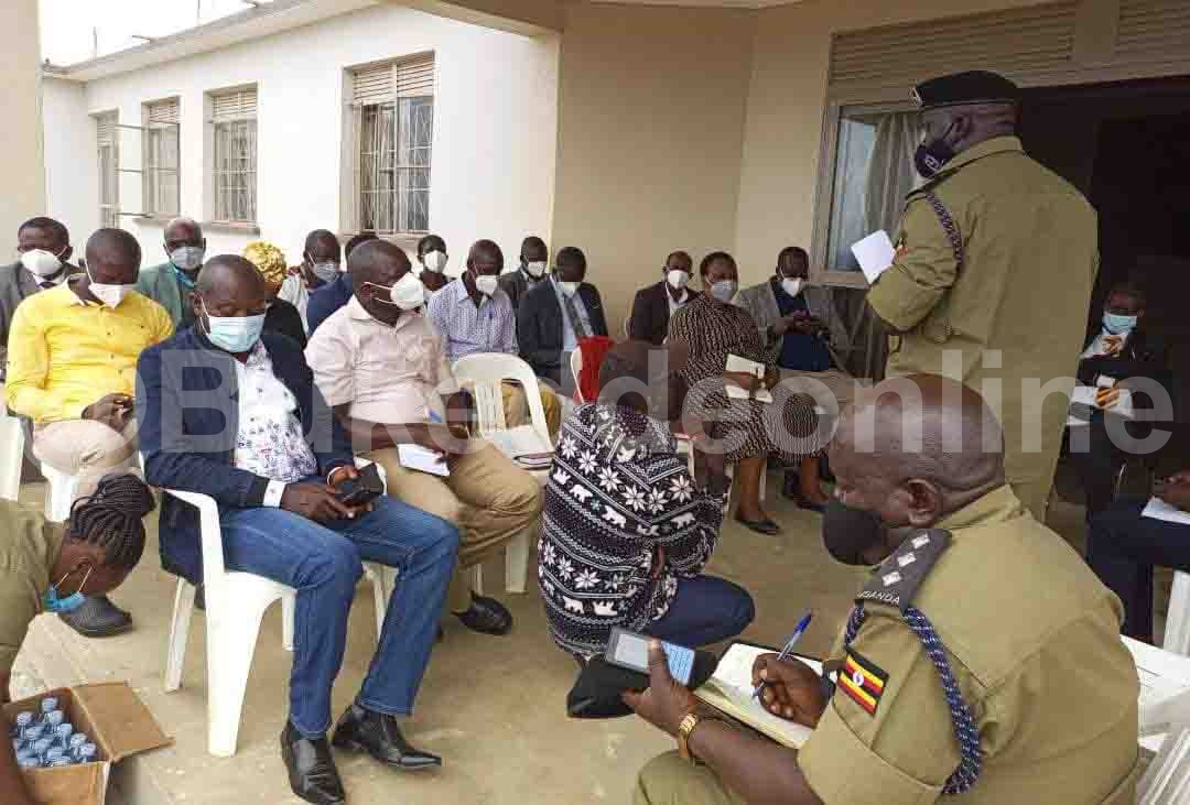 Essay kya francis 05 image