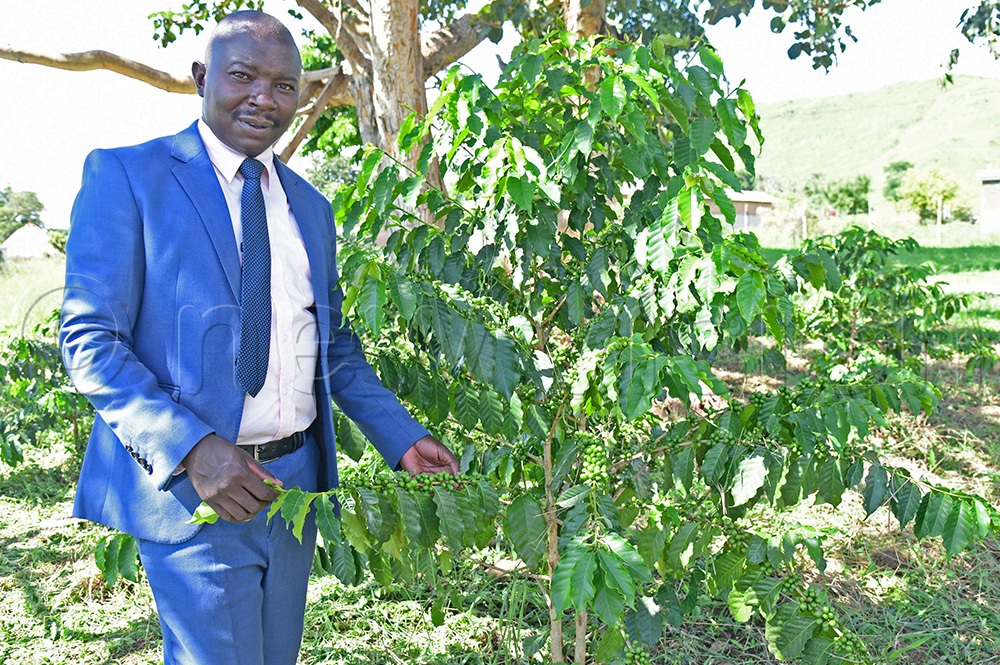 The head teacher of Kateta Hill view secondary school Emmanuel Olaboro at the demonstration farm of the school. (Photo by Godfrey Ojore) 