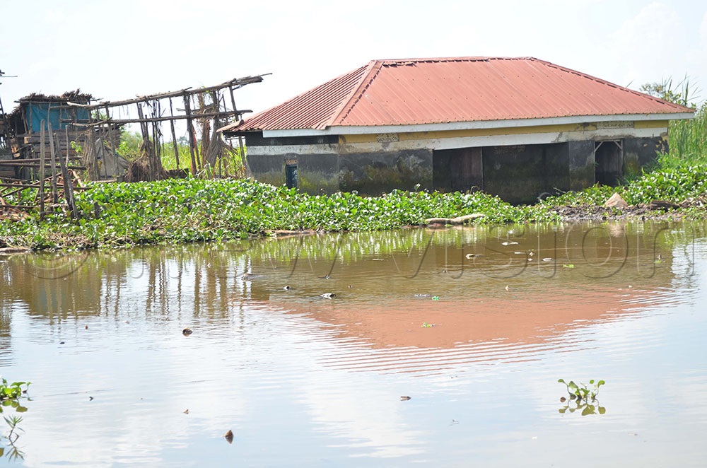 Museveni Bans Irrelevant University Courses