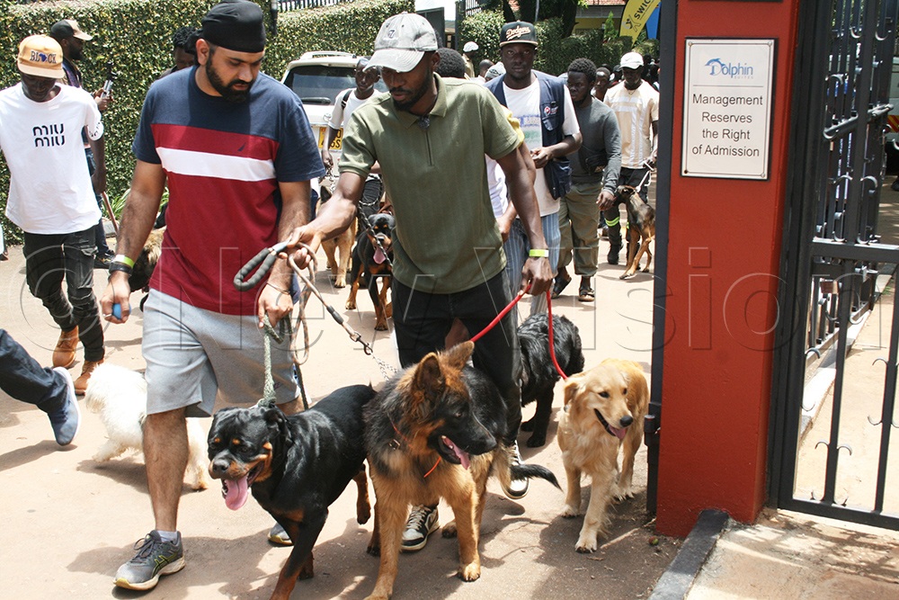 Dog lovers walking their animals. (Credit: Maureen Nakatudde)