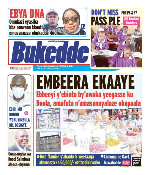 New Vision E-Paper