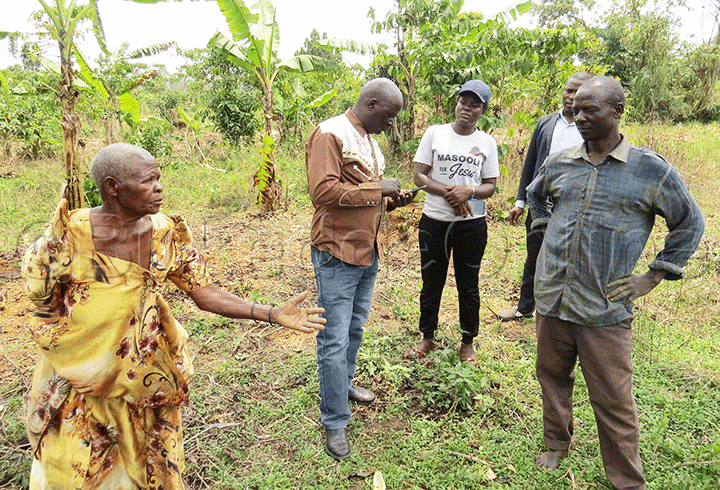 Omukadde Sinyaku ne mutabani we Yuwa n'abalala ku kibanja.