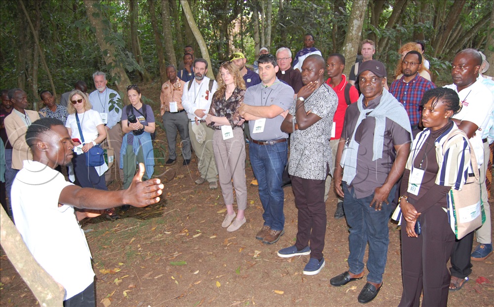The conference participants during a guided tour of Bethany Land Institute's newly-regenerated Lazarus Forest.