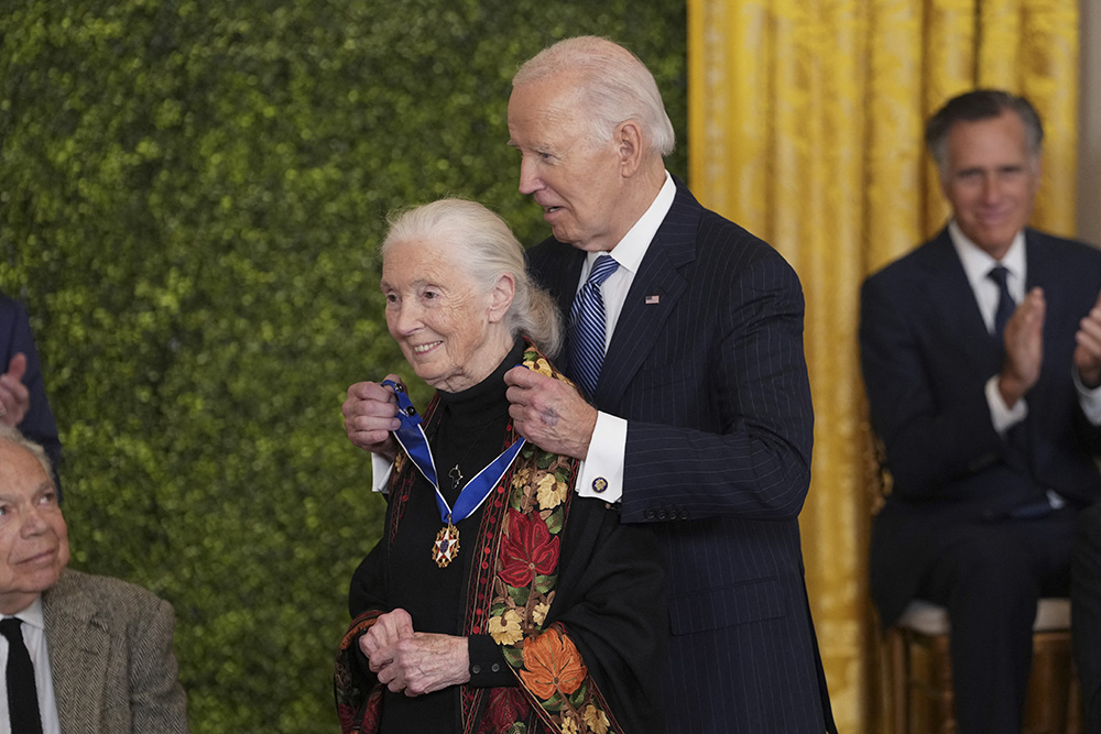   Ethologist and conservationist Dr. Jane Goodall receives the Medal of Freedom from United States President Joe Biden during a ceremony at the White House in Washington, DC, January 4, 2025. (Photo by Chris Kleponis / AFP)