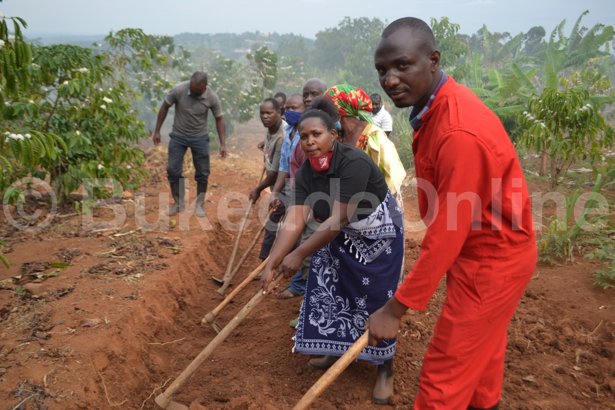 Abakulembeze nga bakola bulungibwansi w'okweteekateekera amattikira