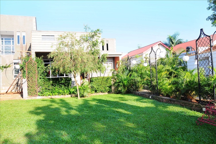 Do you know where to plant your compound trees? New Vision Official