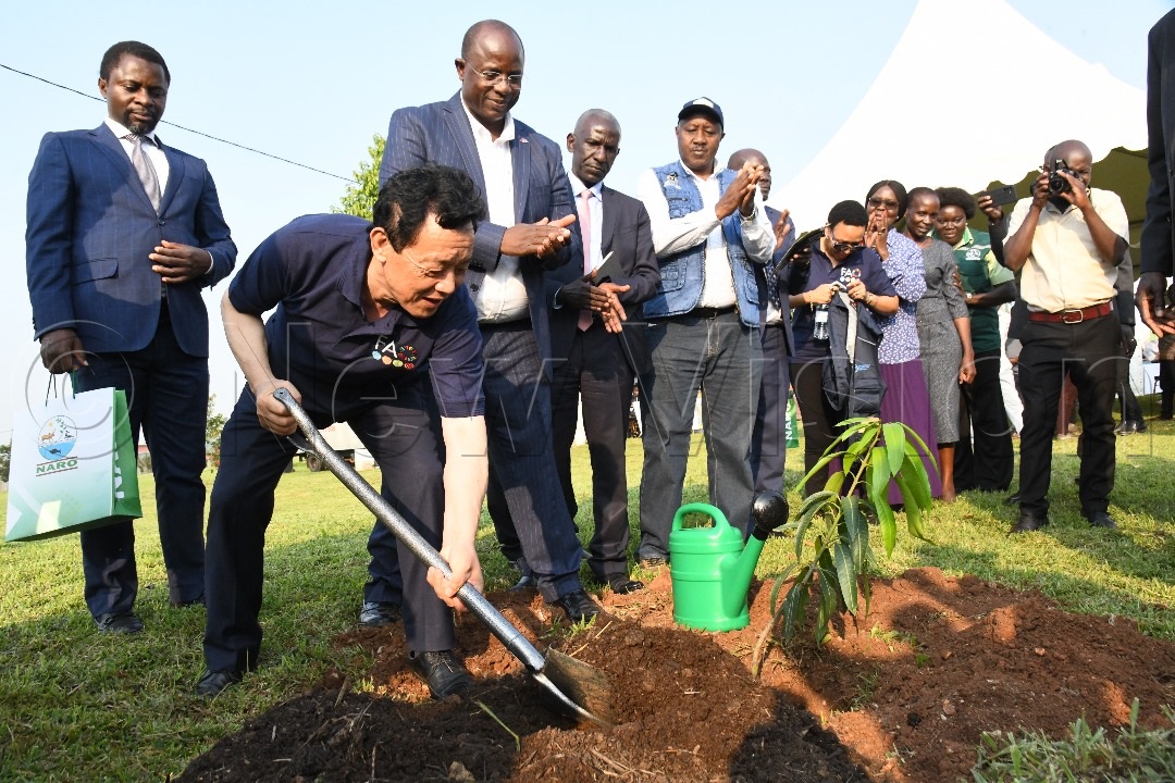 Dr Qu Dongyu, director general FAO plants a tree.