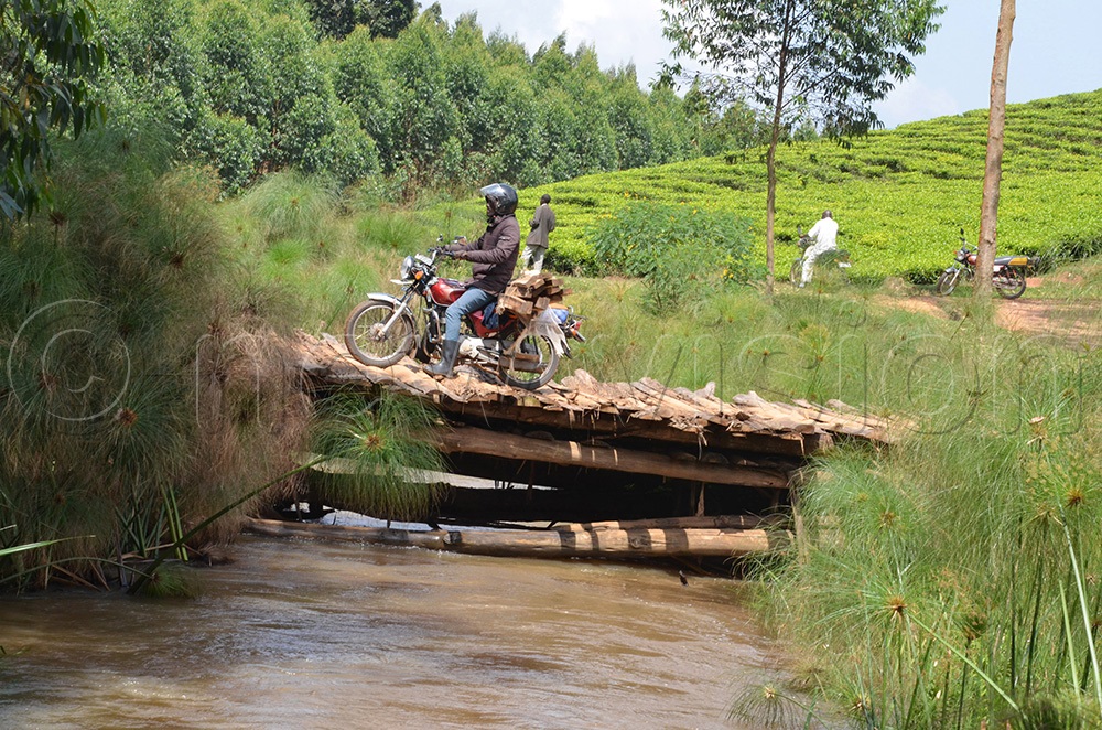 A motorcyclist rides over the temporary Ncwera bridge that was constructed by the locals after their bridge was washed away by floods in 2021. (Photo by Abdulkarim Ssengendo)