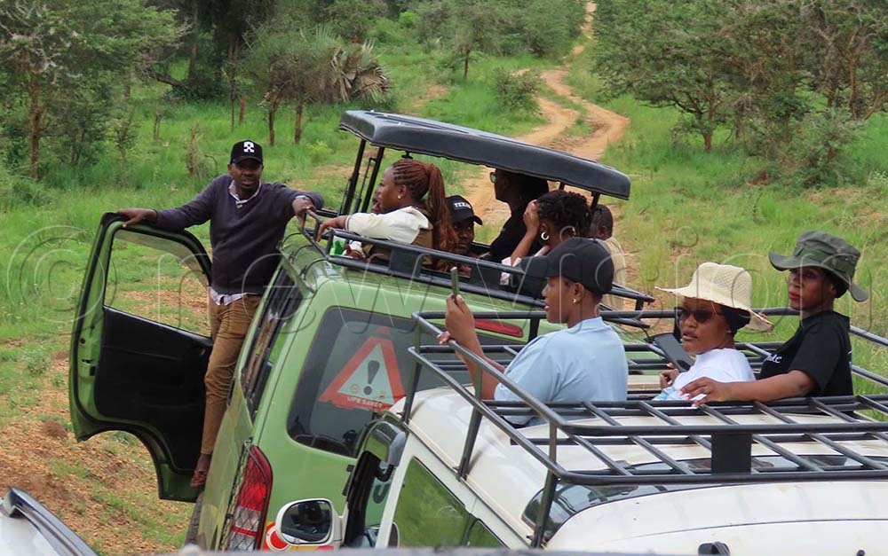 Tourist arrivals from African land markets increased by 5.5% in 2024, with strong growth from South Sudan, Burundi and DR Congo.
