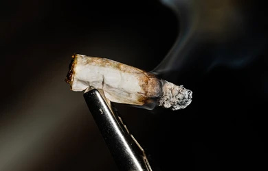 According to experts, the human brain is not fully developed until age 25. The brain of teenagers is more vulnerable to the negative effects of marijuana use.