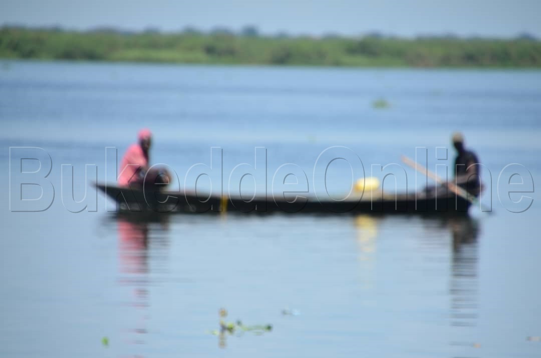 Abavubi nga bali ku nnyanja