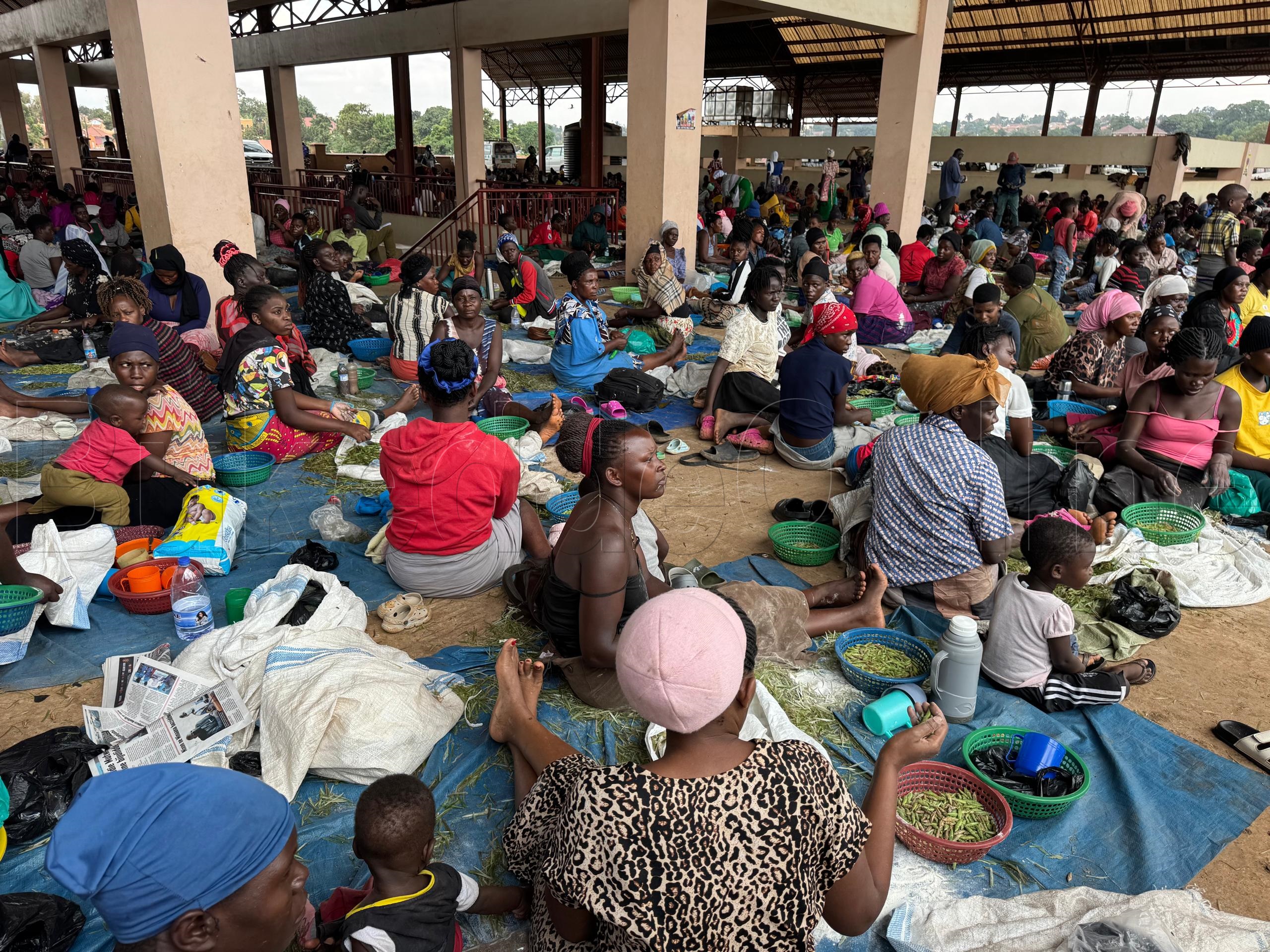 Majembere ng'ali mu katale e Busega