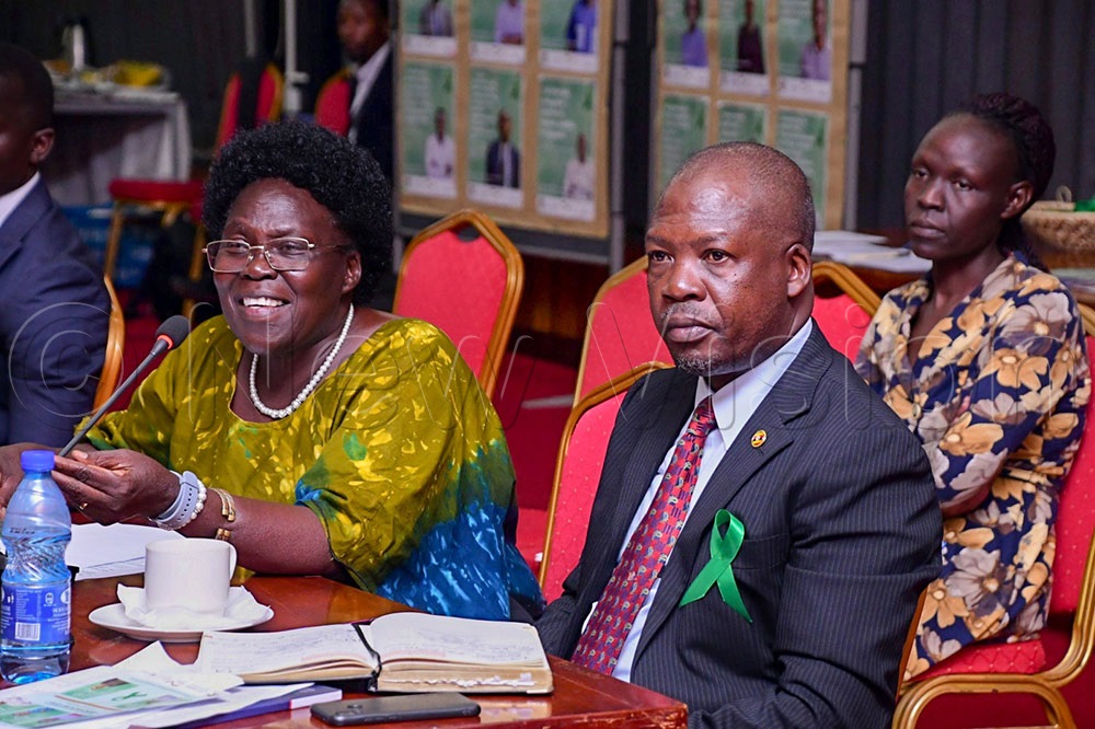 Prioritise mental health support for LRA survivors, govt tol