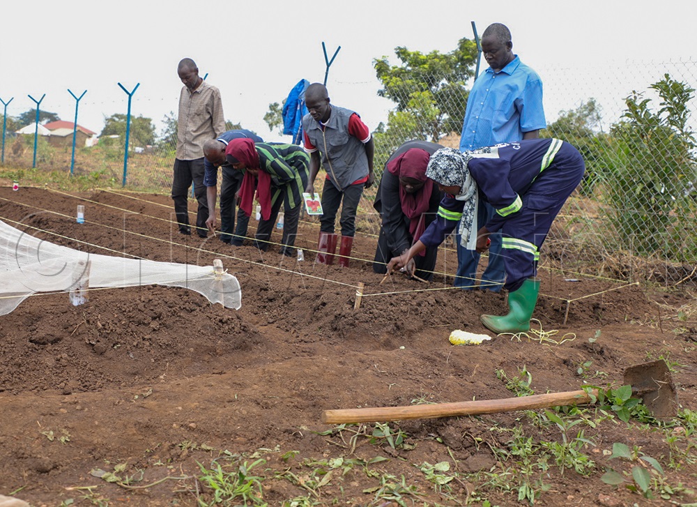 Farm training sessions underway to empower communities with sustainable agricultural skills. (Credit: Prossy Nandudu)