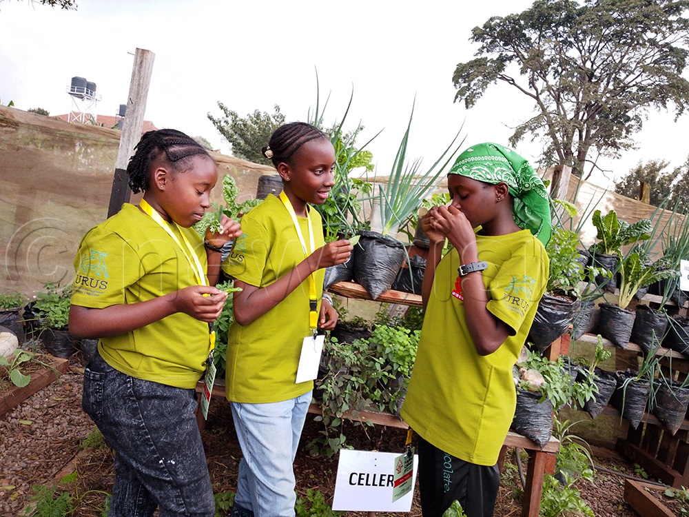 Students from various schools in and around Kampala have converged at Gayaza High School to attend the Annual School Farm Camp. (Photo by Prossy Nandudu)