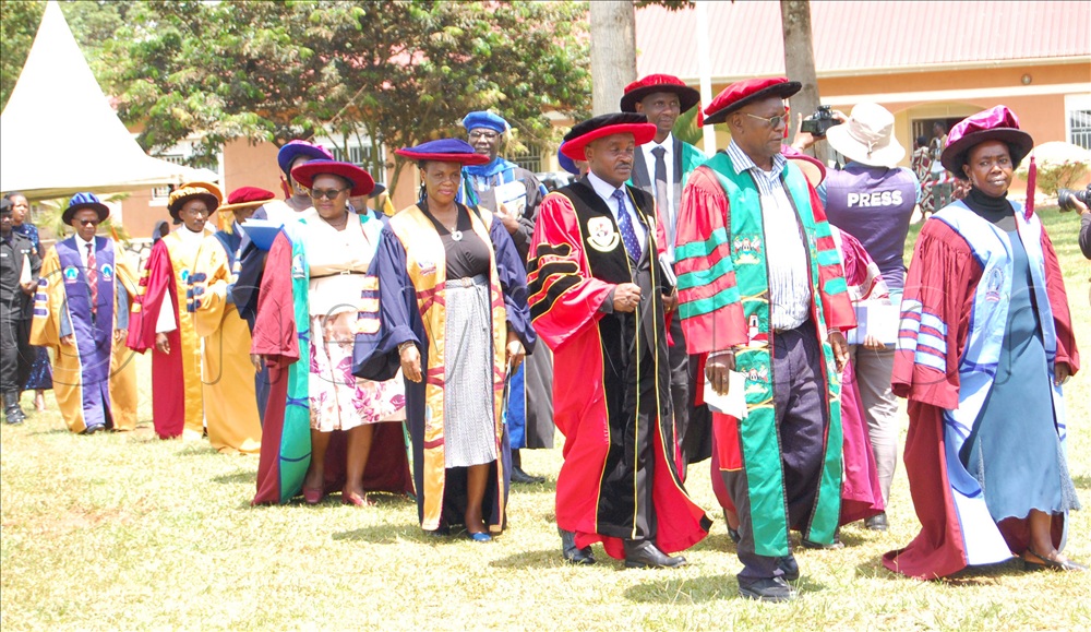 A spectacle of the academic procession.