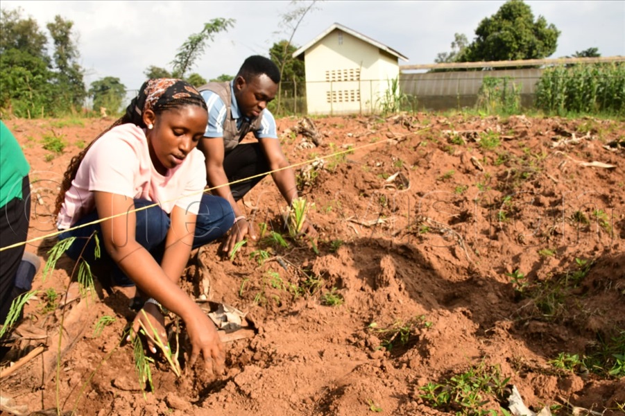 Participants from Tanzania take part in the digging of trenches to prevent soil and water erosion in a garden.