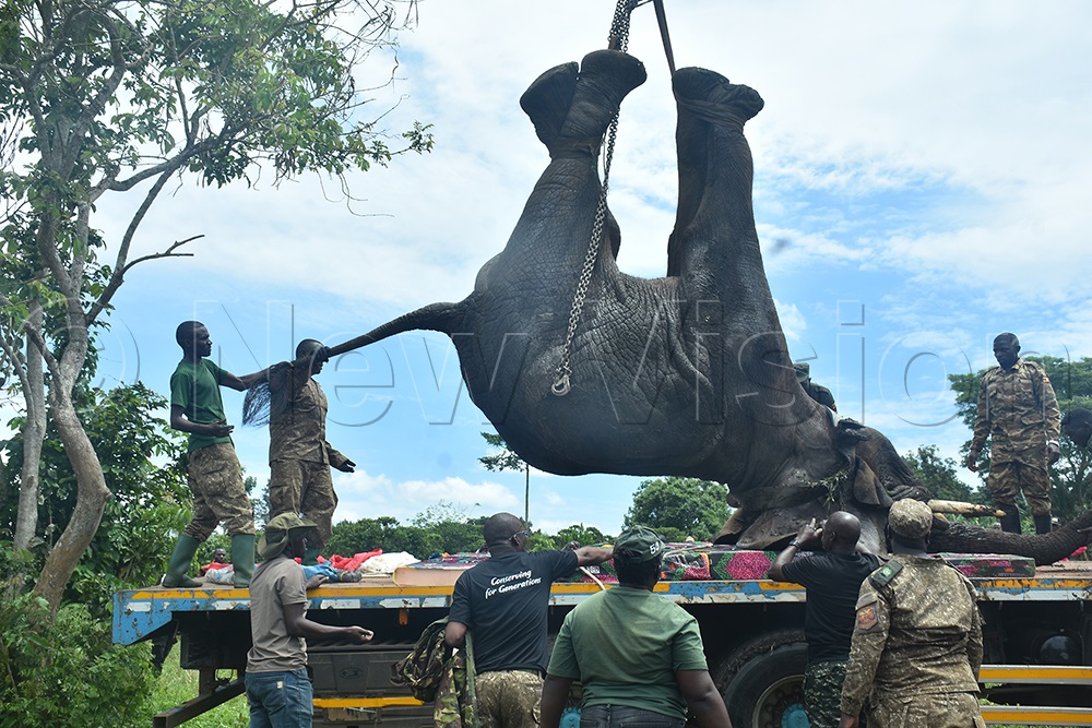 (Photo by Gerald Tenywa)